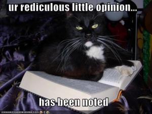 funny-pictures-cat-has-noted-your-ridiculous-opinion